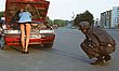 117.jpg